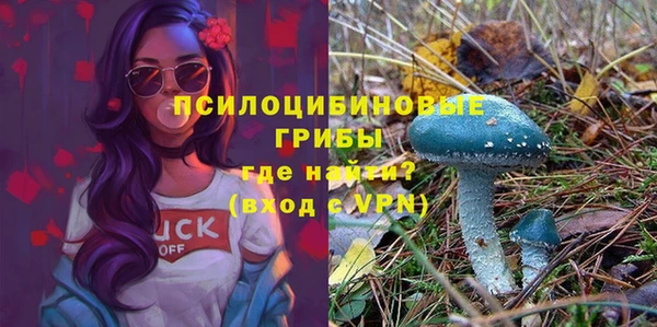 PSILOCYBIN Горняк