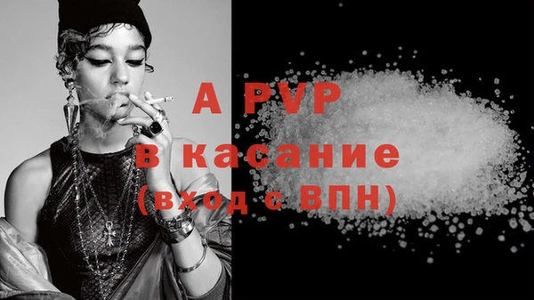 PSILOCYBIN Горняк