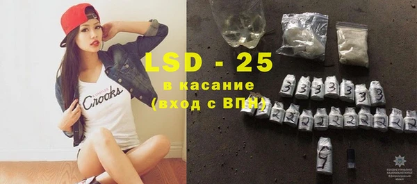 PSILOCYBIN Горняк